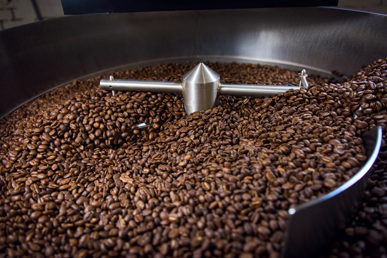 Freshly roasted coffee beans turning in the roaster's cooling tray